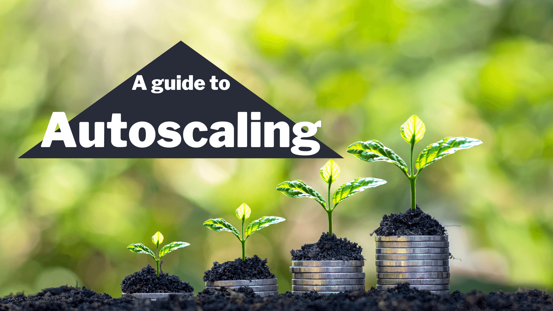 A Guide to Autoscaling